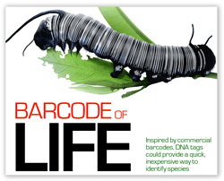 THE BARCODE OF LIFE: