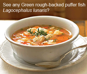 fish-soup