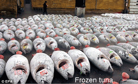 frozen-tuna