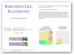 Barcoding Life Illustrated
